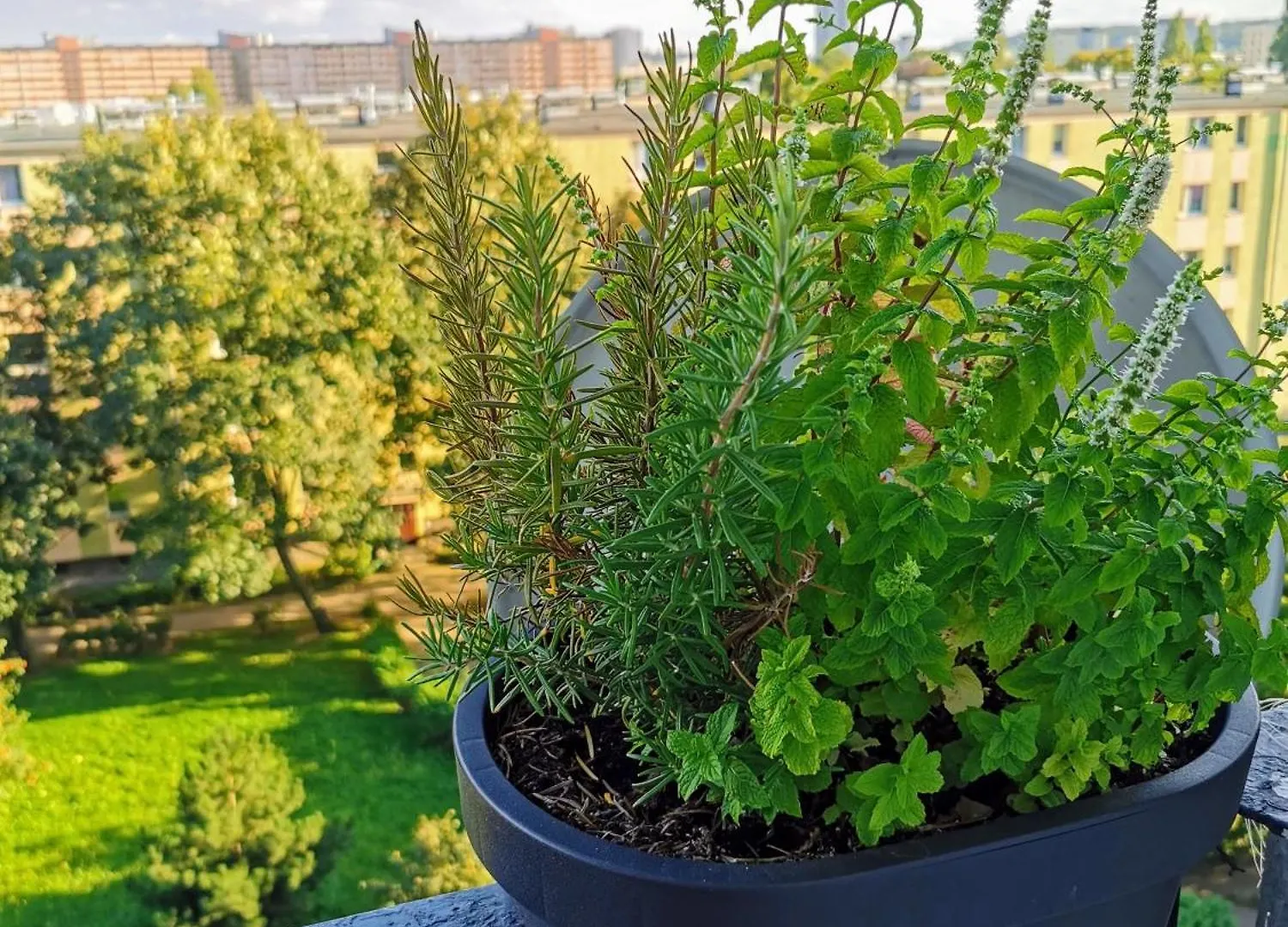 Apartament Jagiellonska Blisko Galeria Przymorze - Gdansk Przymorze Appartement